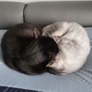 경미농장 이미지