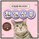 고양이무마취미용 묘갱살롱 | 제거방법/자체제작 천연 오일 키트/고양이 피지제거/묘갱살롱/아로묘갱/반려동물 아로마테라피/국제...