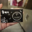 쏭헤어 이미지