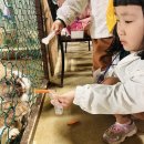 한솔목장 이미지