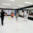 성화 태권도장 이미지