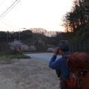 신의터재(어산재) | 2019-04-14 백두대간 36-14구간(신의터재-갈령)(생마님 공지)