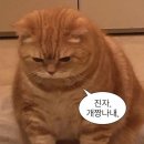 더캡슐 명동 이미지
