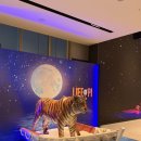 파이안경 | GS아트센터 라이프 오브 파이 박정민 배우 회차 후기(3층 좌석 시야)