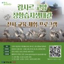 장대들길 이미지