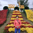 장성게이트볼장 이미지