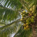 망우재로 이미지