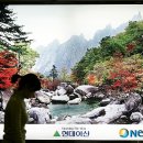 (유)금강산관광 이미지