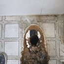 대림설비