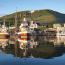 아일랜드 이미지