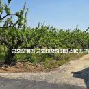 오계리농장 이미지