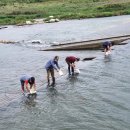 남원종자 이미지