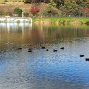 경기도자미술관 이미지