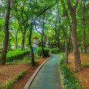 아랫말어린이공원 이미지