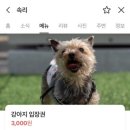 시대양품 - 파주시 금정로 90 | 시대양품
