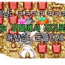 투투모텔 Daum카페