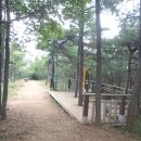 광양용강초등학교 이미지