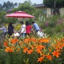 녹동고등학교 이미지