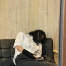 헤어, 지지 말자 이미지