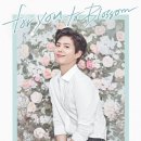Blossom for you 이미지