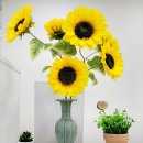 신내역행운부동산공인중개사사무소 이미지