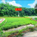 양편농장 이미지