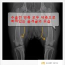코카 24시 동물병원 이미지