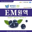 [공동구매] 블루베리클럽 전용 EM원액, 당밀 (2016.11.21~12.30) ＜기간연장＞ 이미지