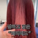 109미용실 이미지