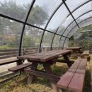 기차여행독채펜션 이미지