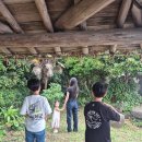 표선민속촌 주차장 | 제주 표선 가볼만한곳, 3대 가족이 대만족한 제주민속촌 솔직 후기