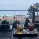 화수분상회 | [부산 나들이 - 完] 광안리 / 의성상회 / 러브이즈기빙 / 빌라드엘르 / 개미집