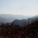 사자평 이미지