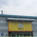 애견카페,애견유치원 멍선생 이미지