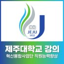 한라대학교 | [강의후기] 제주대학교·한라대학교 혁신융합사업단 임직원 PPT 강의 | 도식화·AI 활용·작업속도 혁신...