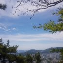 2026년 6월 6일 백양산 이미지