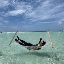 댕스다이닝 네이버블로그