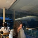 P-6108 | [겨울도쿄여행] Day1 롯폰기일루미네이션/사푸카페/크리스마스마켓/미트맨/츠루동탄