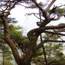 대산면(순창) 이미지
