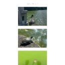 그립커뮤니케이션 | 후쿠 ⁽˙ᵌ˙⁾﹡⁽˙ᵋ˙⁾ ♡⃛*⁎⋆