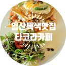 일산덕이동 타코라카페 일산맛집추천(인테리어공사중)
