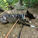 리버하우스 이미지