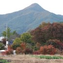 광주동초등학교 | 무돌 4길 (금곡숲길)