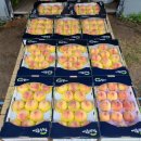 도향축산 이미지