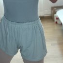 레미뇽 | 성인발레복 추천 미뇽발레 컬러핏 레오타드 블루, 모나발레 모달쇼츠 후기