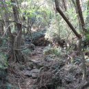 일도농장 이미지