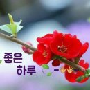 금요일 이미지