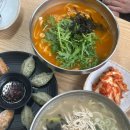 충주맛집 용산동 닭칼국수 락빈칼국수 리뷰