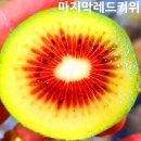 마지막 고당도레드키위 입니다 이미지