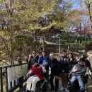 2025 금천구장애인체육회 어울림 걷기대회 이미지